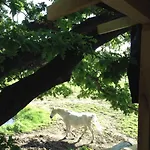 Farma Kerca Bio Farm Kercaszomor