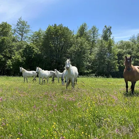 Farm stay Kerca Bio Farm Kercaszomor