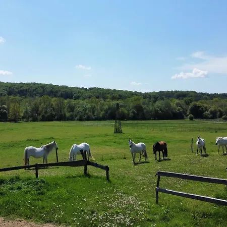Farm stay Kerca Bio Farm *