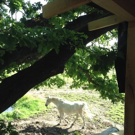 Farm stay Kerca Bio Farm Kercaszomor
