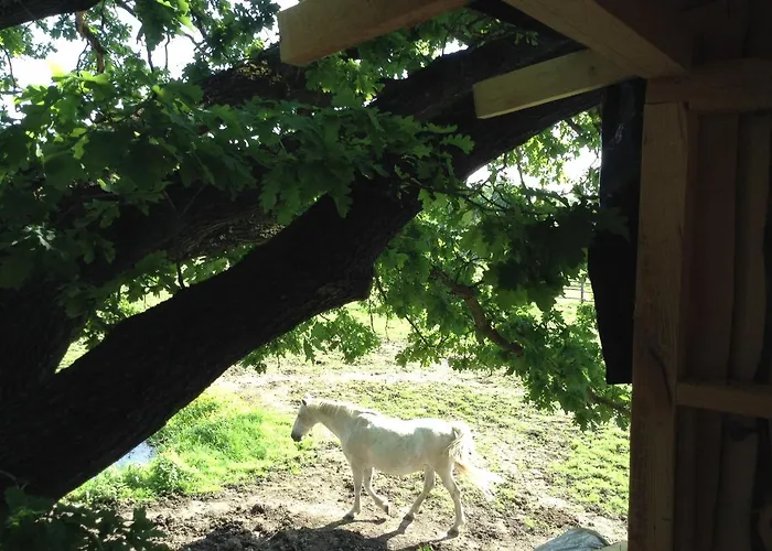 مزرعة للإقامة Kerca Bio Farm Kercaszomor
